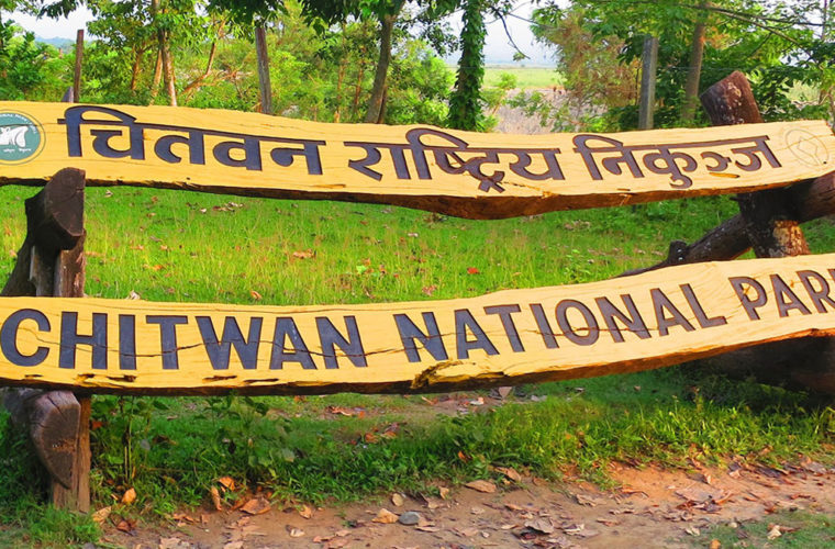 निकुञ्जमा नमूना घाँसे मैदान बनाउने तयारी
