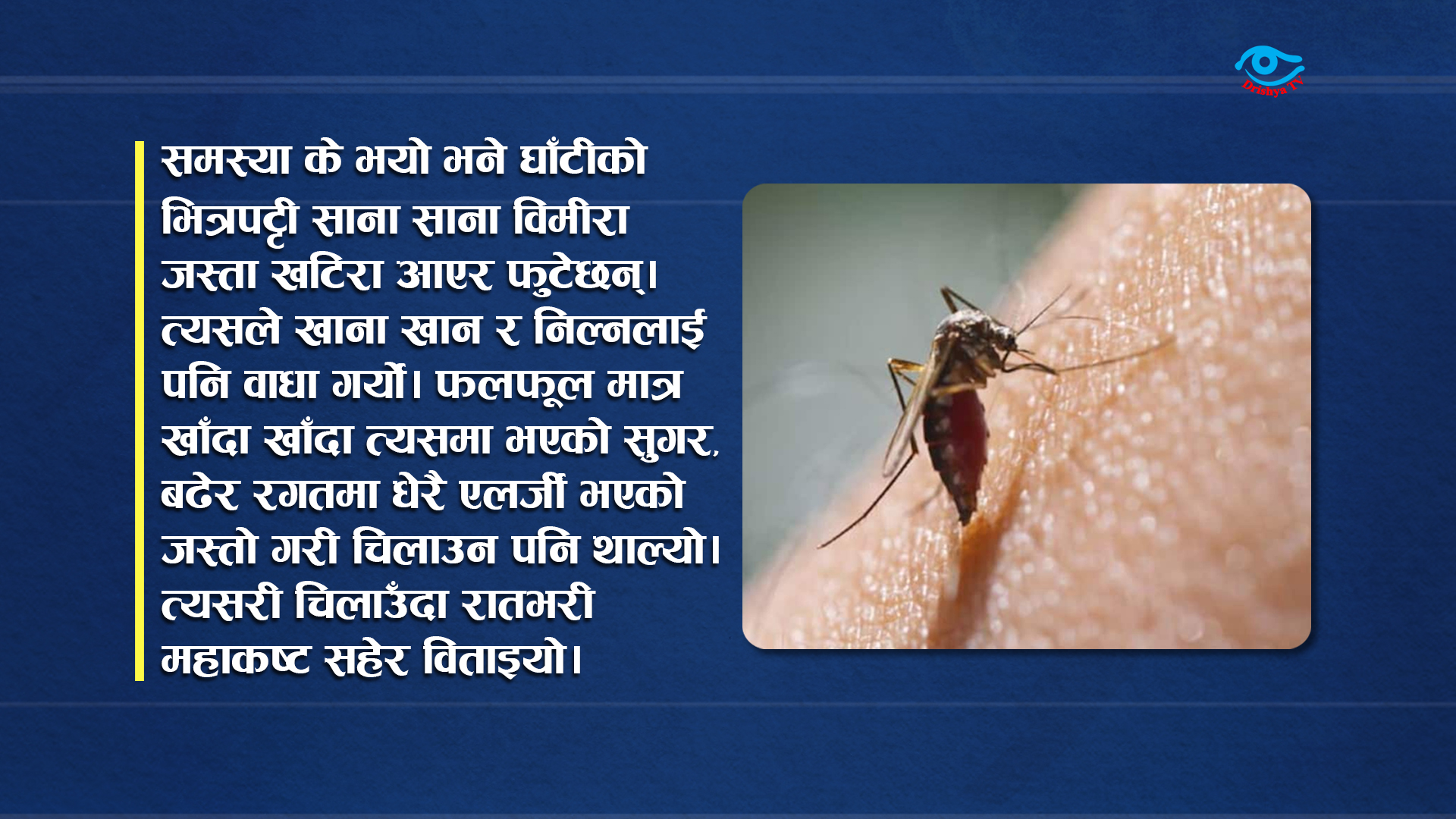  एक प्राध्यापकको डेङ्गु अनुभव