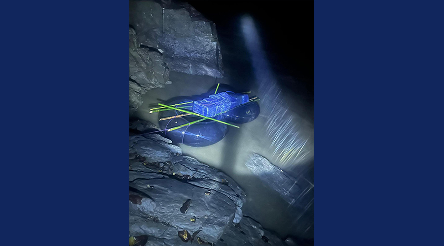 प्रतिबन्धित लागू औषधसहित सात जना पक्राउ