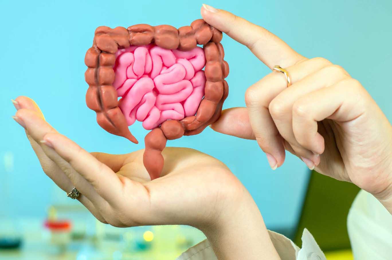 मनसुनमा आइपर्न सक्छ पेटसम्बन्धि समस्या