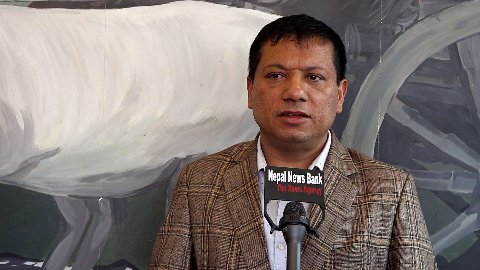 चम्लागाईंले गरे अपाङ्ग संघको अध्यक्षमा उम्मेदवारी घोषणा, यस्ता छन् जित्ने आधार