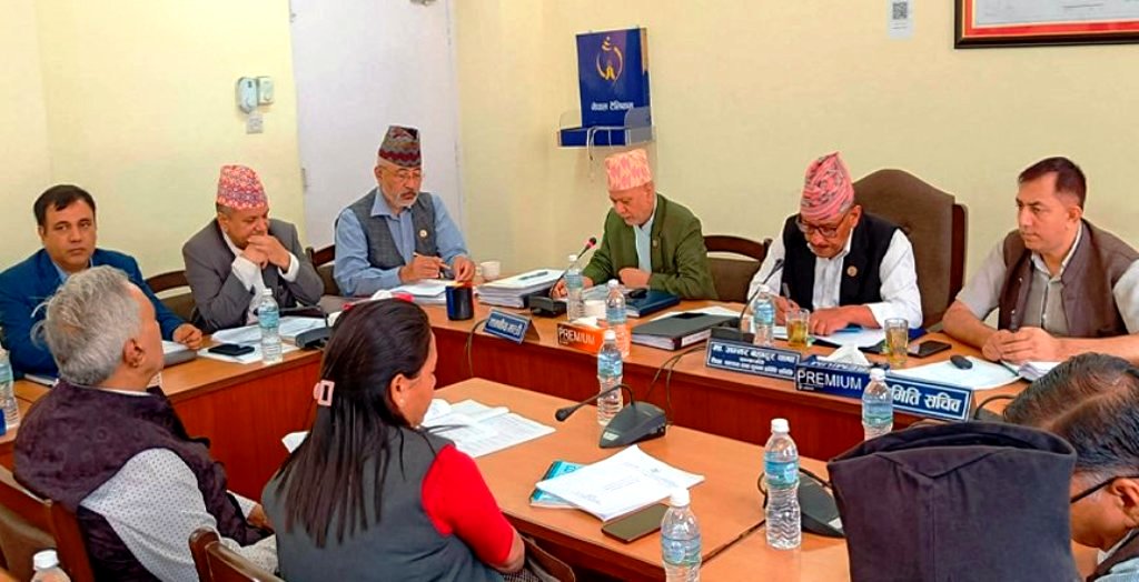 विद्यालय शिक्षा विधेयकमाथि समितिमा छलफल  जारी, भोलि १५ असार