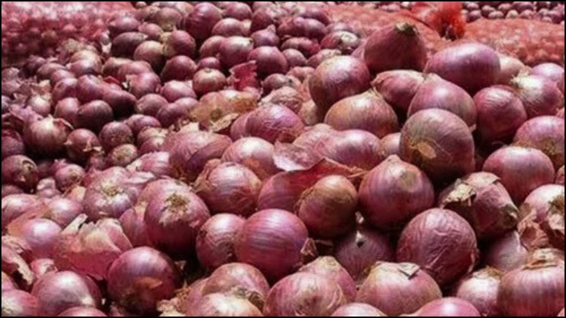 भारतीय बजारमा प्याजको भाउ बढ्यो, नेपालमा पनि उकालो लाग्दै