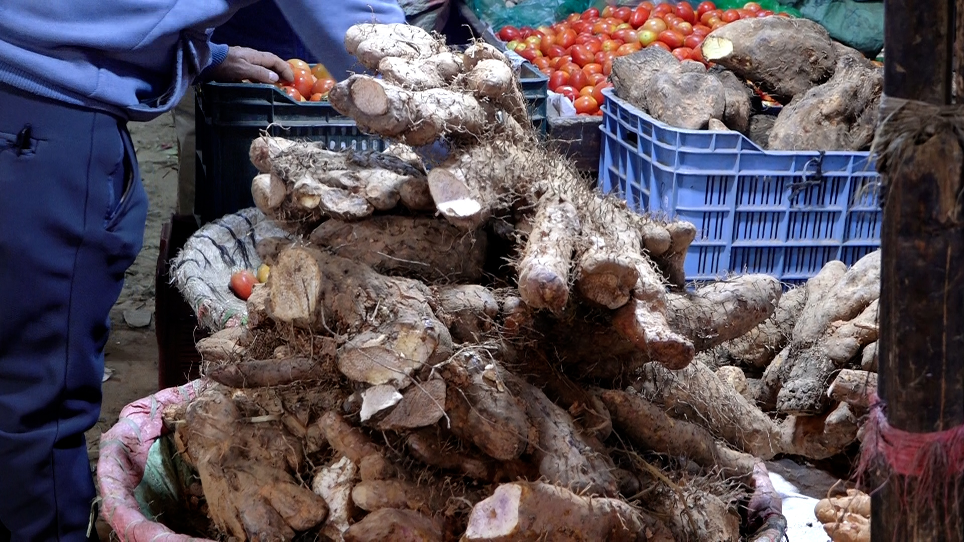 माघे संक्रान्तिले बढायो तरुलको कारोबार