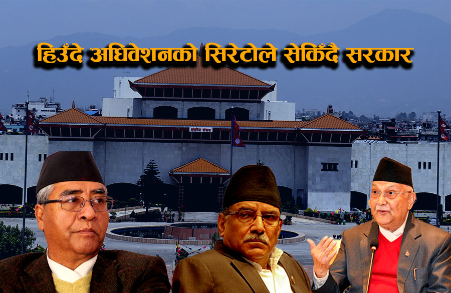 सत्तारुढ दलका सांसदलाई नेताहरूको उर्दी: 'संसद्‌मा सरकारको विरोध नगर्नू'