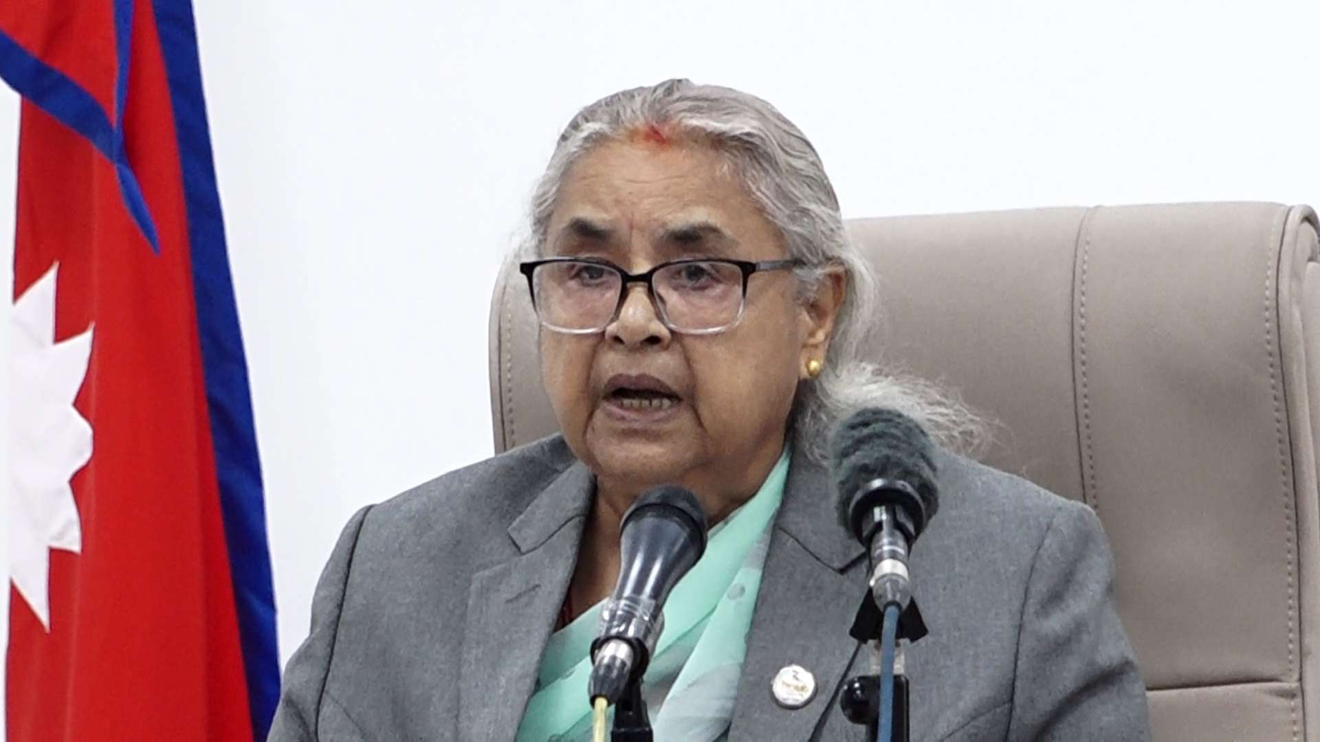 प्रधानमन्त्री कार्कीको सुझाव- 'एनआरएनएको एकताबाट दलहरुले पनि सिके हुने'