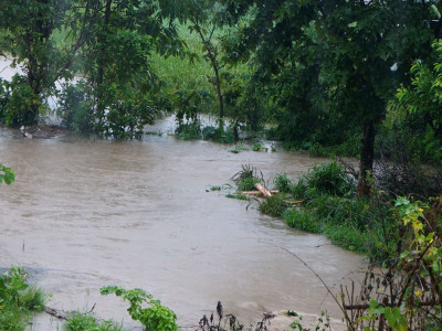 बेमौसमी वर्षाले कोशी प्रदेशको जनजीवन प्रभावित, किसान मारमा