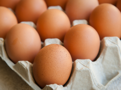 अण्डाको मूल्य प्रतिक्रेट ५५ रुपैयाँले वृद्धि