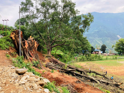 सडकले मासियो सम्पदा
