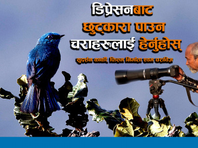 Depression बाट छुट्कारा पाउन चराहरुलाई हेर्नुहोस् ।। Sudarsan Karki ।।