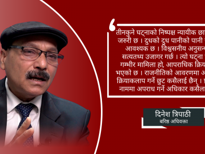 'तीनकुनेको प्रदर्शन राजनीतक देखिएन, आपराधिक देखियो'