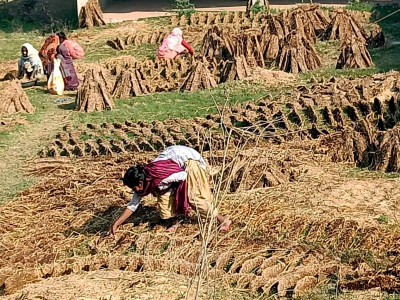 खाना पकाउन अझै गुइँठाकै भर