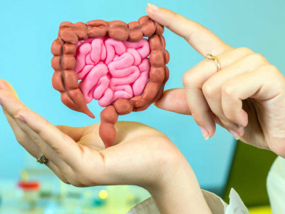 मनसुनमा आइपर्न सक्छ पेटसम्बन्धि समस्या