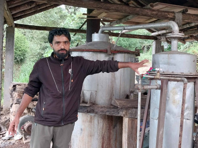 फ्रान्स निर्यात हुन थाल्यो इलाममा उत्पादित जडीबुटी