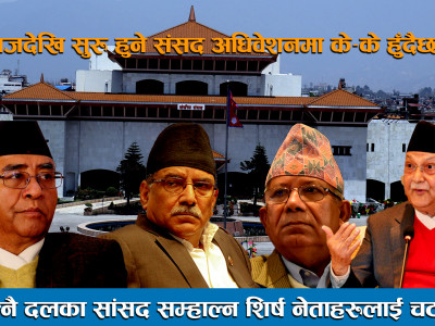 आफ्नै दलका सांसद सम्हाल्न शीर्ष नेताहरुलाई चटारो ।।House of Representatives Nepal ।।