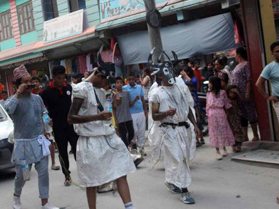 बेनीमा गोरु नाच प्रदर्शन