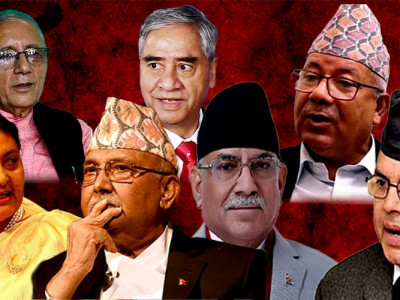 घरेलु अलमलमा दल