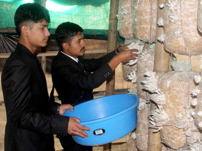 विद्यालयमै च्याउखेती