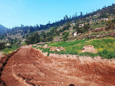 सडकले जोडियो अग्लो बस्ती मुठाचौर