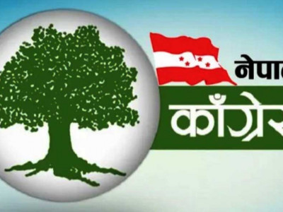 विपक्षमा मतदान गर्न कांग्रेसको ह्वीप