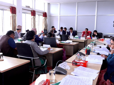 संघीय निजामती सेवा विधेयक सम्बन्धी प्रतिवेदन (मस्यौदा) पारित