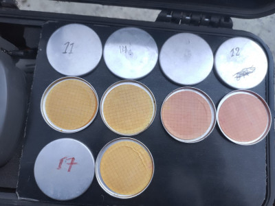 मुगुको पूर्वी भेगका खानेपानीमा कोलिफर्म जीवाणु भेटियो