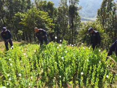 गाँजा फडानी एकातिर, मुख्यमन्त्रीको समर्थन अर्कोतिर