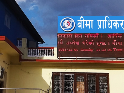 सबै बीमा कम्पनीका कार्यालय सञ्चालनमा ल्याउन बीमा प्राधिकरणको निर्देशन