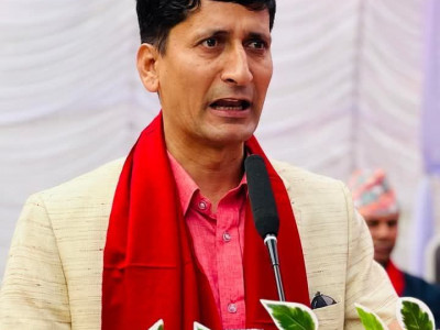 बीमा बोर्डको कार्यकारीमा डा. रघुराज नियुक्त