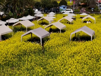 तोरीबारीमा बसेर डिनर खाने पर्यटकीय गन्तब्य बन्दै चीन