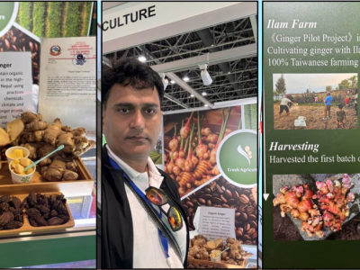 दुबईको एक्सपोमा इलामको अदुवा र अलैँचीले विश्वको ध्यान खिच्यो