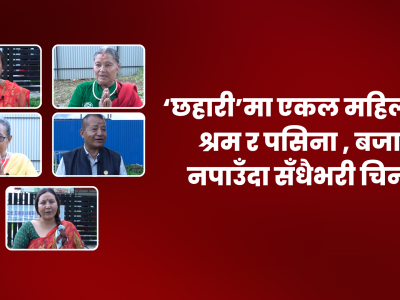 सुनाकोठीमा एकल महिलाहरुको ‘छहारी’ : जहाँ फस्टाएको छ अर्गानिक उत्पादन