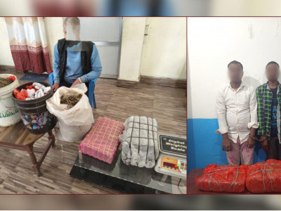 साढे २३ किलो गाँजा सहित तीन जना पक्राउ