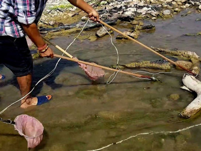 माछा मार्न करेन्ट लगाउने क्रममा युवकको मृत्यु