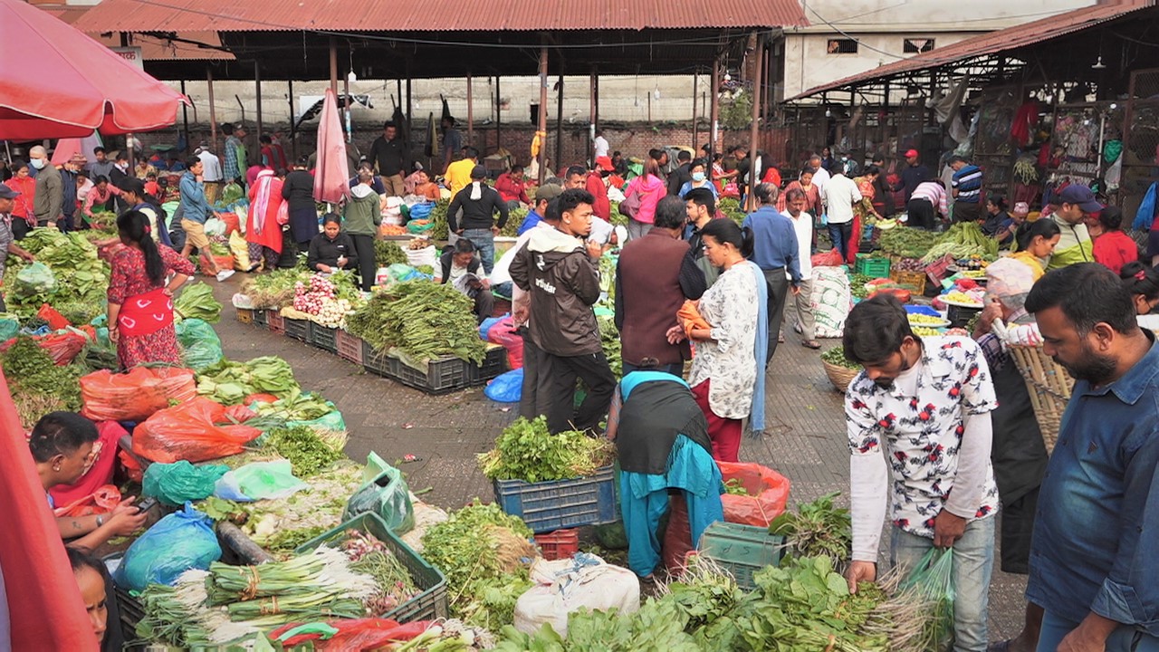 हरियो तरकारी र फलफूलको मूल्यमा सामान्य घट्बढ