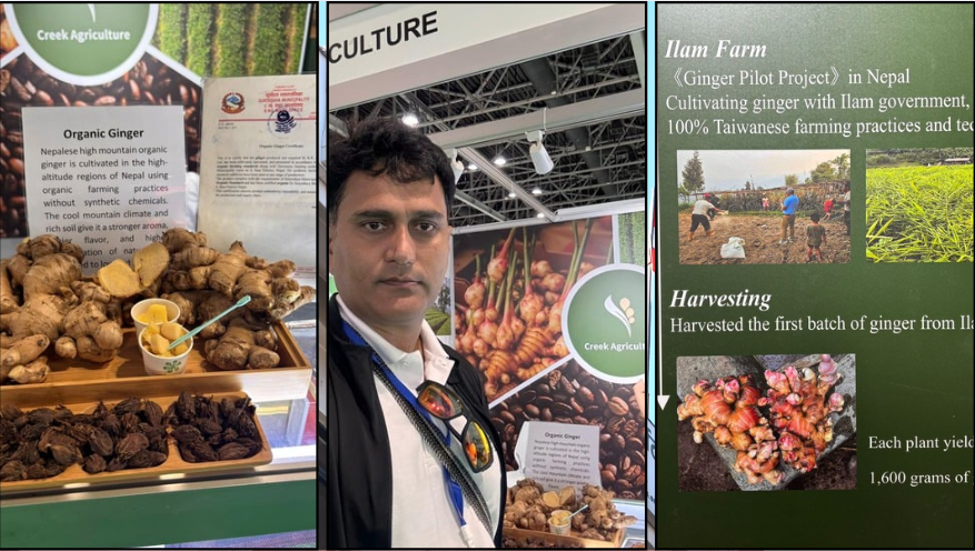 दुबईको एक्सपोमा इलामको अदुवा र अलैँचीले विश्वको ध्यान खिच्यो