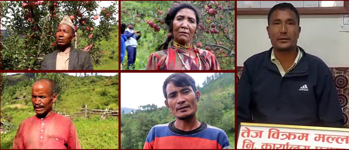 स्याउखेतीबाट आत्मनिर्भर बन्दै मुगुका कृषक